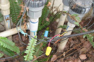 Landscaping Drip System Wiring Repairs - Landscaping