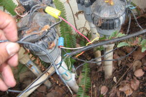 Landscaping Drip System Wiring Repairs - Landscaping