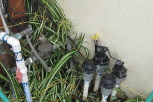 Landscaping Drip System Wiring Repairs - Landscaping