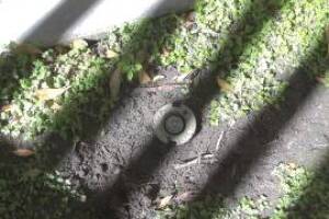 Landscaping Sprinkler Broken Pipe Repair - Landscaping
