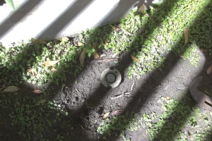 Landscaping Sprinkler Broken Pipe Repair - Landscaping