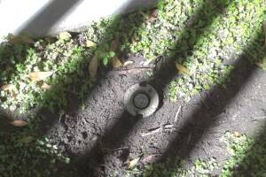 Landscaping Sprinkler Broken Pipe Repair - Landscaping