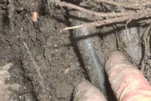 Landscaping Sprinkler Broken Pipe Repair - Landscaping
