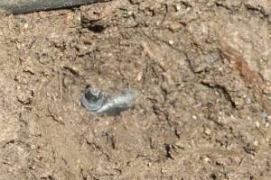 Landscaping Sprinkler Broken Pipe Repair - Landscaping