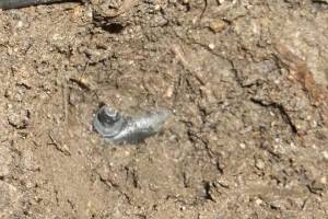 Landscaping Sprinkler Broken Pipe Repair - Landscaping