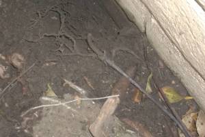 Landscaping Sprinkler Broken Pipe Repair - Landscaping