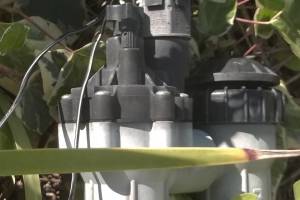 Landscaping Sprinkler Broken Pipe Repair - Landscaping