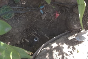 Landscaping Sprinkler Broken Pipe Repair - Landscaping