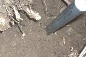 Landscaping Sprinkler Broken Pipe Repair - Landscaping