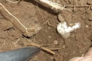 Landscaping Sprinkler Broken Pipe Repair - Landscaping