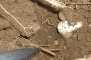 Landscaping Sprinkler Broken Pipe Repair - Landscaping