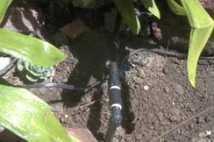 Landscaping Sprinkler Broken Pipe Repair - Landscaping