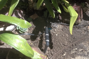 Landscaping Sprinkler Broken Pipe Repair - Landscaping