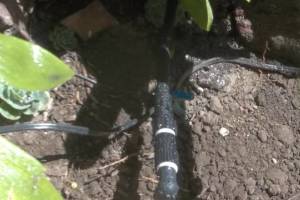 Landscaping Sprinkler Broken Pipe Repair - Landscaping