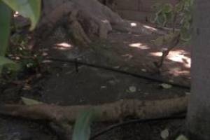 Landscaping Sprinkler Broken Pipe Repair - Landscaping