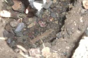Landscaping Sprinkler Broken Pipe Valve Replace - Landscaping