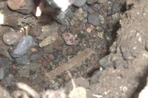 Landscaping Sprinkler Broken Pipe Valve Replace - Landscaping