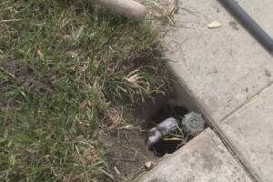 Landscaping Sprinkler Broken Pipe Valve Replace - Landscaping