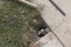 Landscaping Sprinkler Broken Pipe Valve Replace - Landscaping