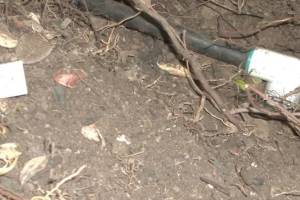 Landscaping Sprinkler Broken Pipe Valve Replace - Landscaping