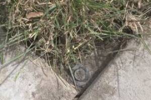 Landscaping Sprinkler Broken Pipe Valve Replace - Landscaping