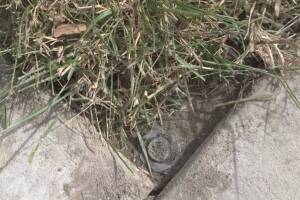 Landscaping Sprinkler Broken Pipe Valve Replace - Landscaping