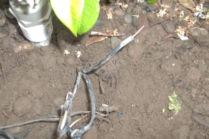 Landscaping Sprinkler Drip System Wiring Repair - Landscaping