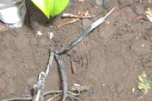 Landscaping Sprinkler Drip System Wiring Repair - Landscaping