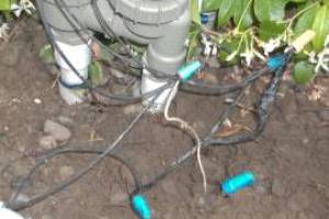 Landscaping Sprinkler Drip System Wiring Repair - Landscaping