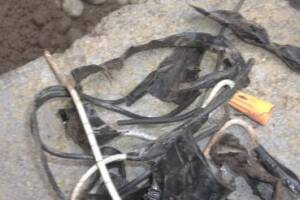 Landscaping Sprinkler Drip System Wiring Repair - Landscaping