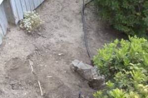 Landscaping Sprinkler Drip System Wiring Repair - Landscaping