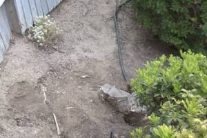 Landscaping Sprinkler Drip System Wiring Repair - Landscaping