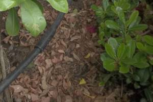 Landscaping Sprinkler Drip System Wiring Repair - Landscaping