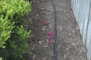 Landscaping Sprinkler Drip System Wiring Repair - Landscaping