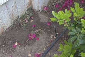 Landscaping Sprinkler Drip System Wiring Repair - Landscaping