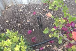 Landscaping Sprinkler Drip System Wiring Repair - Landscaping