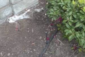 Landscaping Sprinkler Drip System Wiring Repair - Landscaping