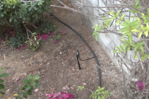 Landscaping Sprinkler Drip System Wiring Repair - Landscaping