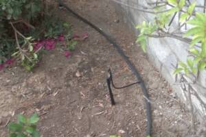 Landscaping Sprinkler Drip System Wiring Repair - Landscaping