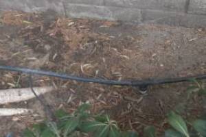 Landscaping Sprinkler Drip System Wiring Repair - Landscaping