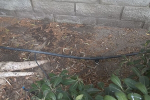 Landscaping Sprinkler Drip System Wiring Repair - Landscaping