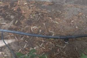 Landscaping Sprinkler Drip System Wiring Repair - Landscaping