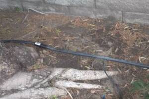 Landscaping Sprinkler Drip System Wiring Repair - Landscaping