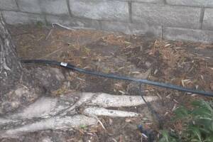 Landscaping Sprinkler Drip System Wiring Repair - Landscaping