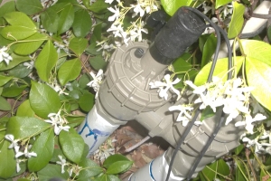 Landscaping Sprinkler Drip System Wiring Repair - Landscaping