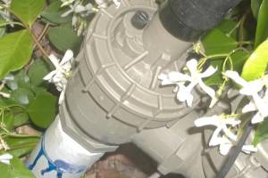 Landscaping Sprinkler Drip System Wiring Repair - Landscaping