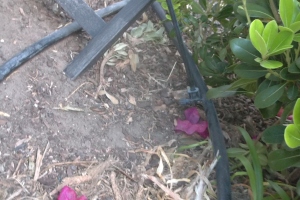 Landscaping Sprinkler Drip System Wiring Repair - Landscaping