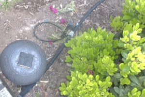 Landscaping Sprinkler Drip System Wiring Repair - Landscaping