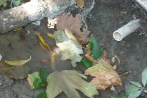 Landscaping Sprinkler Pressure Valve Replace - Landscaping