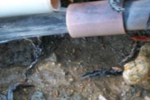 Landscaping Sprinkler Pressure Valve Replace - Landscaping